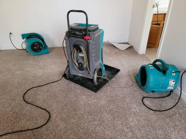 Best Sewage cleanup and water damage restoration  in Flordell Hills, MO