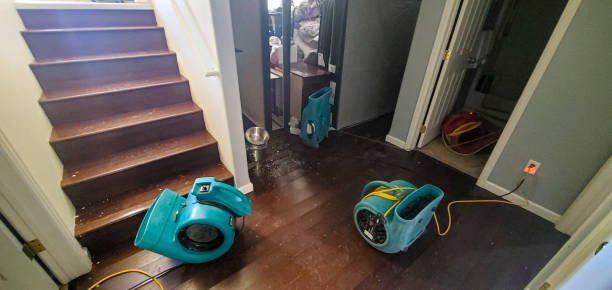 Best Ceiling water damage repair  in Flordell Hills, MO
