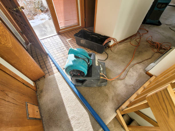 Water damage restoration mold remediation in Flordell Hills, MO