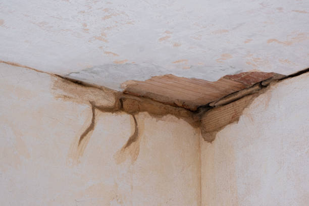 Best Commercial water damage restoration  in Flordell Hills, MO