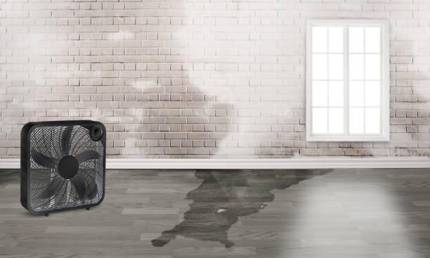 Trusted Flordell Hills, MO Water damage restoration Experts