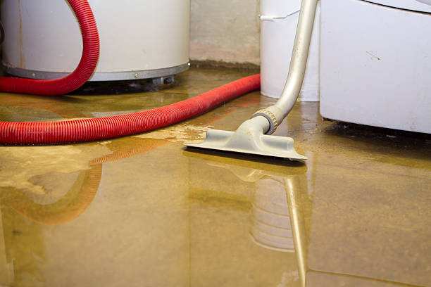 Best Water damage contractors near me  in Flordell Hills, MO