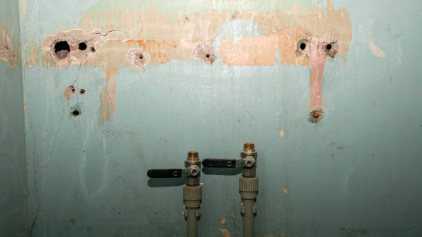 Best Residential water damage restoration  in Flordell Hills, MO