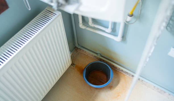 Best Fire Damage Restoration  in Flordell Hills, MO
