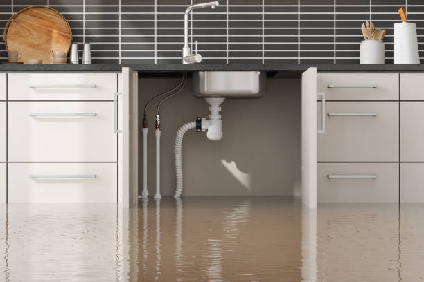 Best Water damage restoration near me  in Flordell Hills, MO