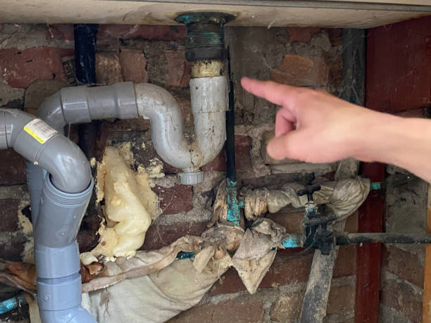 Best Basement water damage restoration  in Flordell Hills, MO