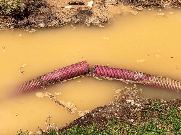 Best Water damage cleanup near me  in Flordell Hills, MO