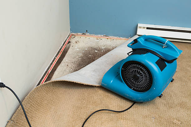 Water damage restoration mold remediation in Flordell Hills, MO